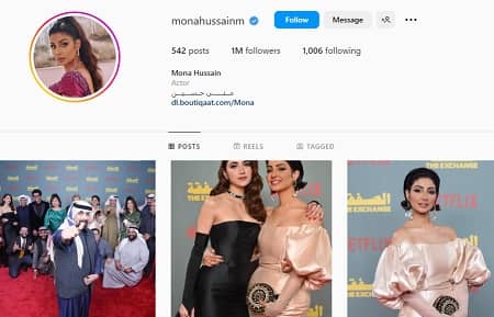 Mona Hussain Instagram